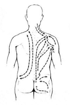 Massagetechnieken voor beginners: rug, nek en schouders